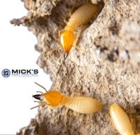 Mick’s Termite Control Sydney image 2
